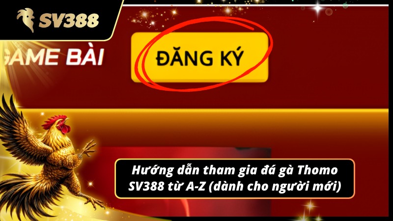 Hướng dẫn tham gia đá gà Thomo SV388 từ A-Z
