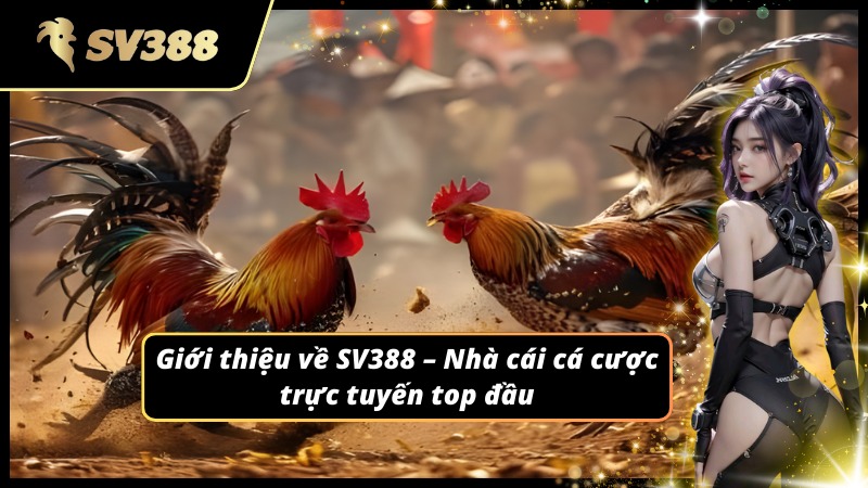 Giới thiệu về nhà cái và phá tan nỗi lo SV388 lừa đảo